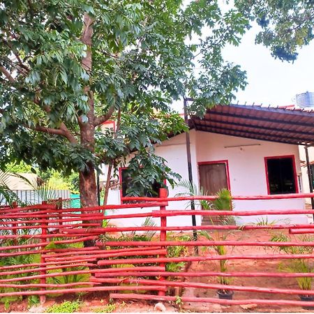 Golden Magnolia Homestay Бангалор Экстерьер фото